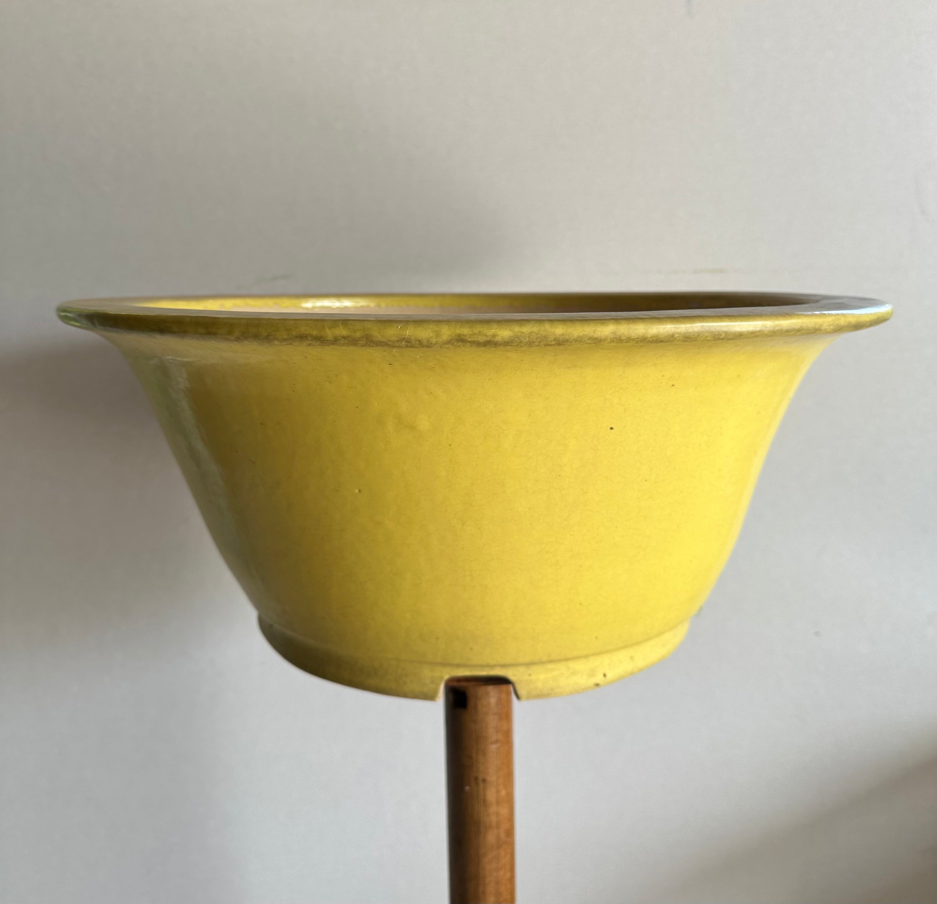 Koyo #59 (collector's item)