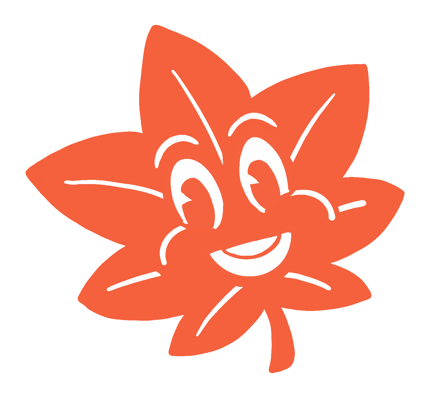 Consultation (15 min)