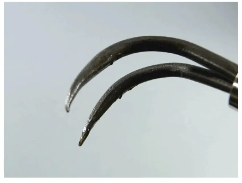 Root Hook 2 Prong CB Tools