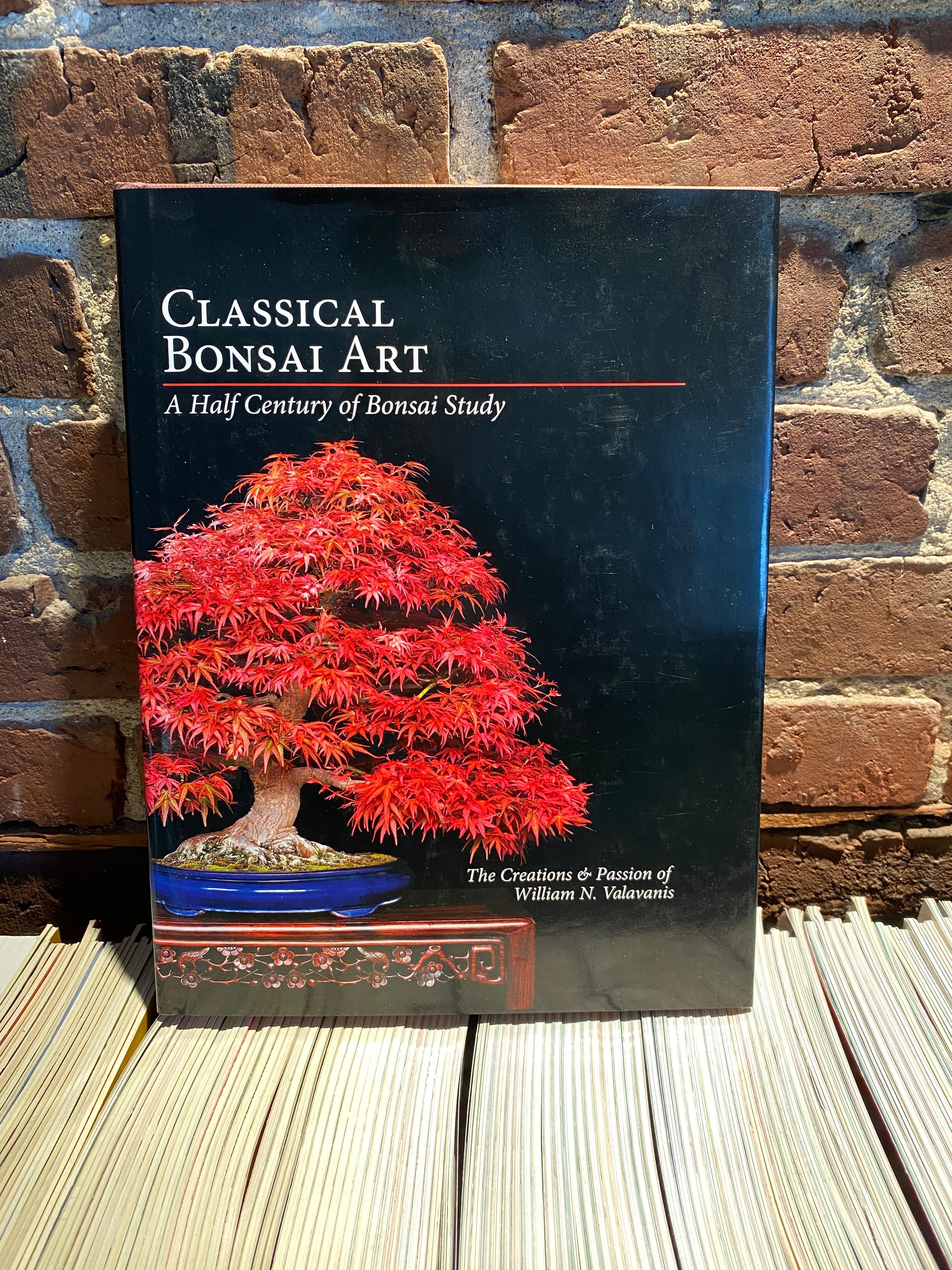 Classical Bonsai Art (unsigned)