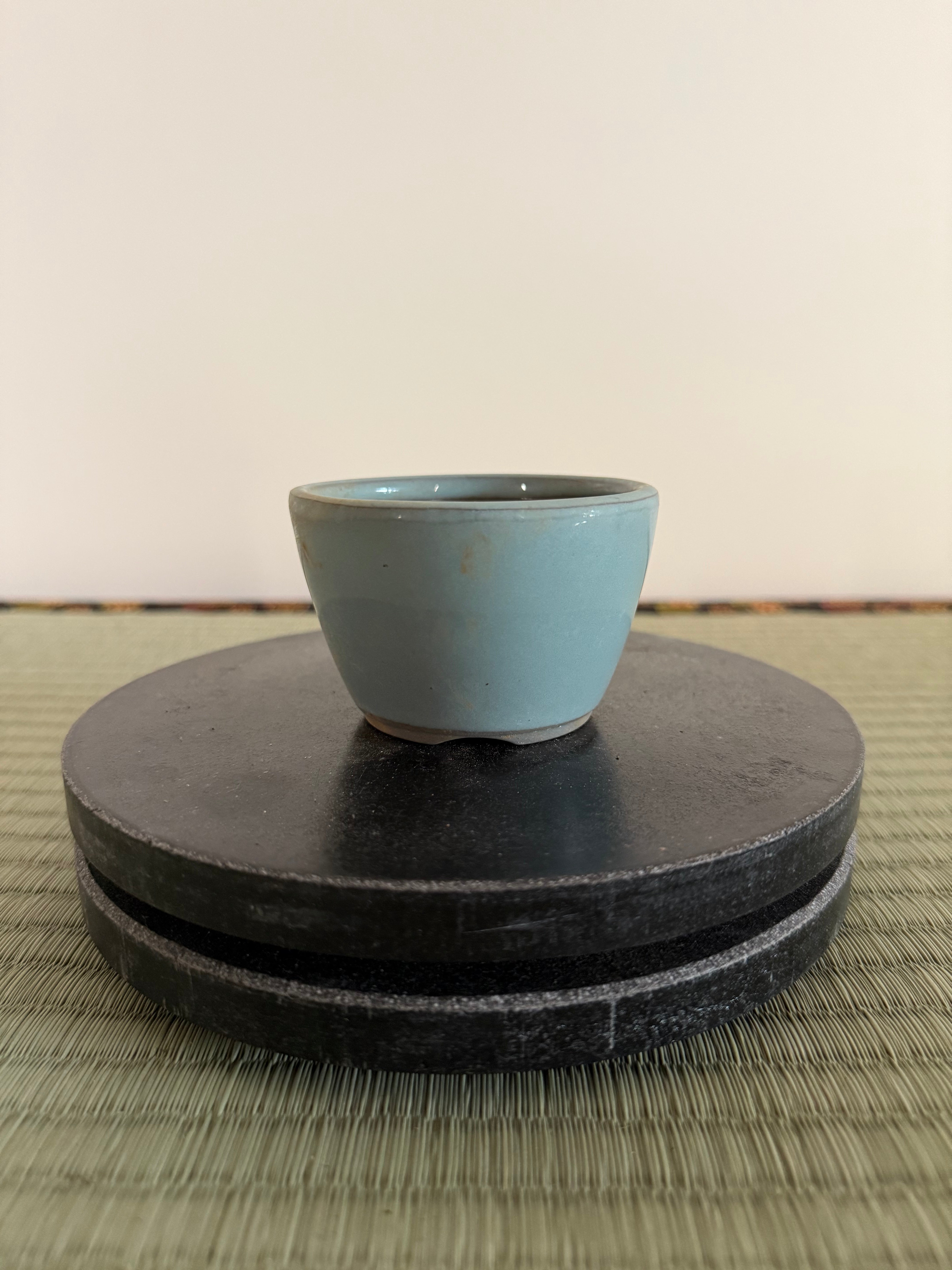 Bonsai Pot