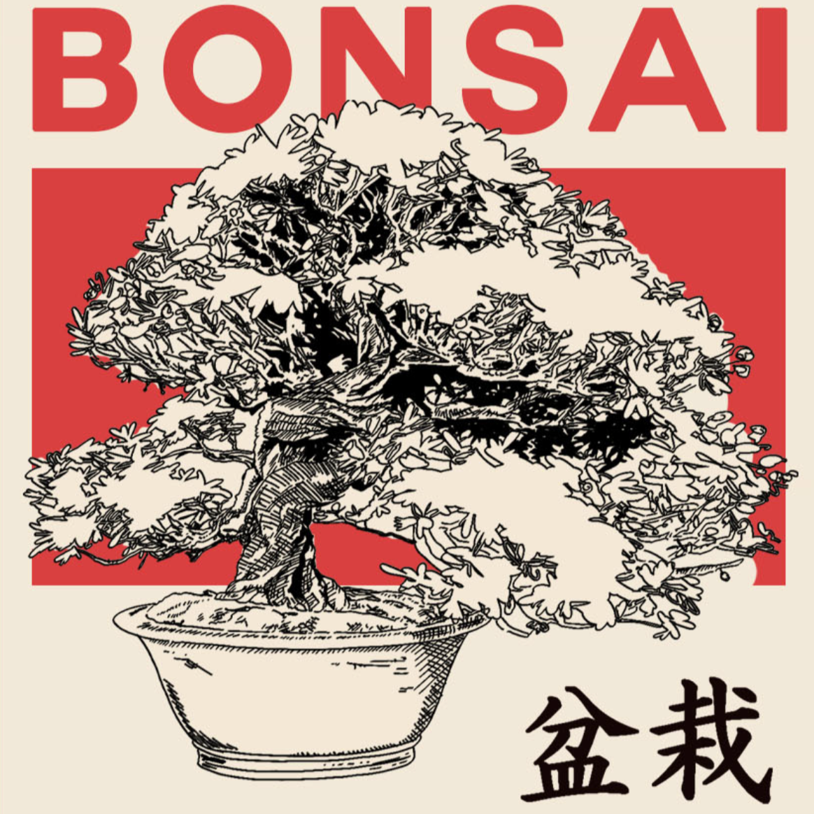 Bonsai Kit (Indoor)