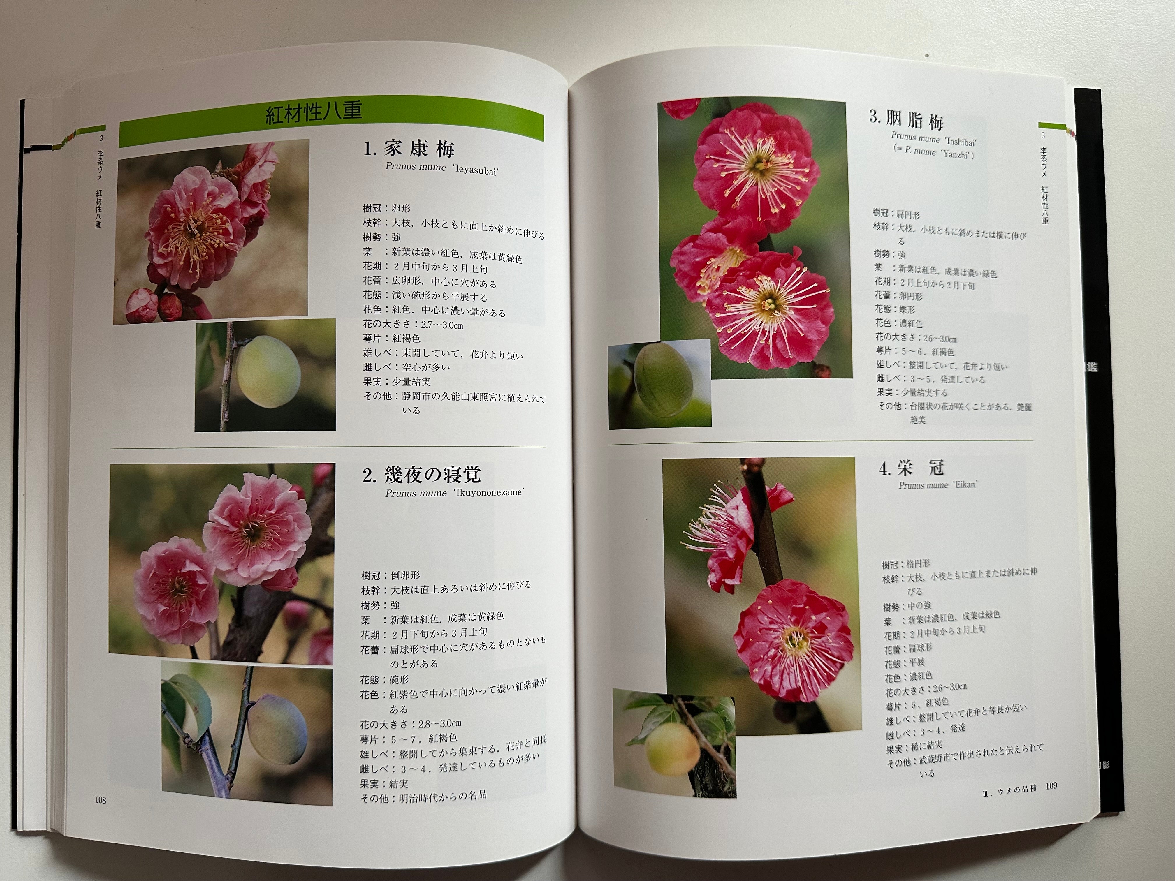 Ume Encyclopedia